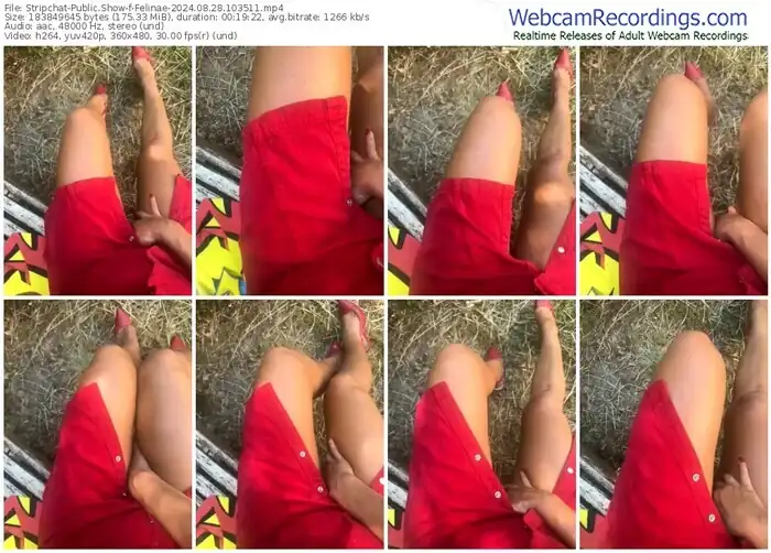 2024/08/28/stripchat-felinae-10-35-11