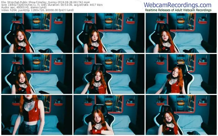2024/08/28/stripchat-harley_quinsy-06-17-42