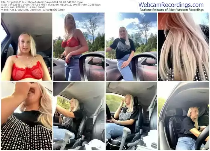 2024/08/28/stripchat-merlindave-04-13-05