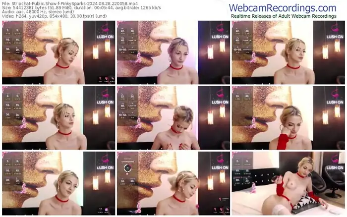 2024/08/28/stripchat-pinkysparks-22-00-58