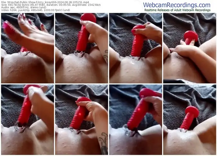 2024/08/28/stripchat-lizzy_kissy666-10-51-51