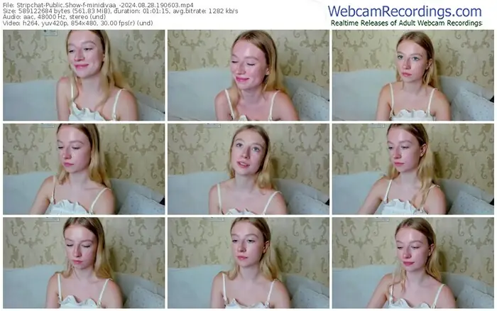 2024/08/28/stripchat-minidivaa_-19-06-03