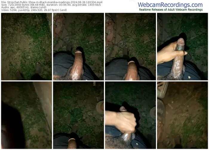 2024/08/28/stripchat-black-mamba-madingo-18-33-04