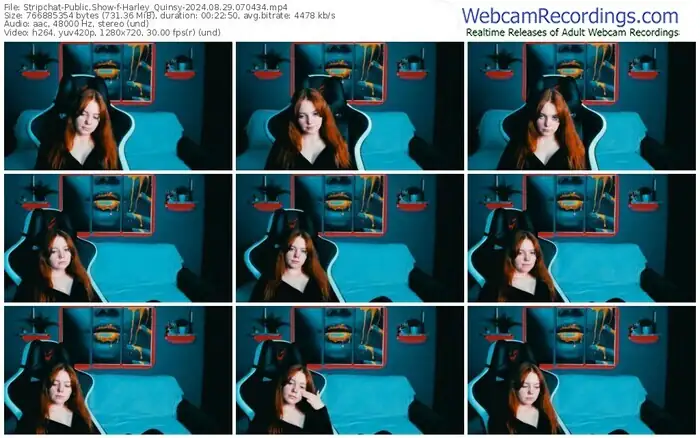 2024/08/29/stripchat-harley_quinsy-07-04-34