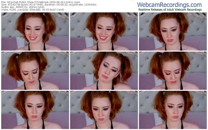 2024/08/29/stripchat-tinabrook-11-04-11