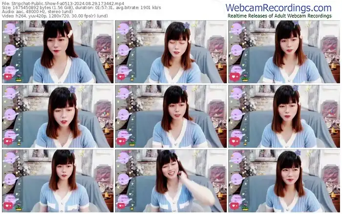 2024/08/29/stripchat-a0513-17-34-42