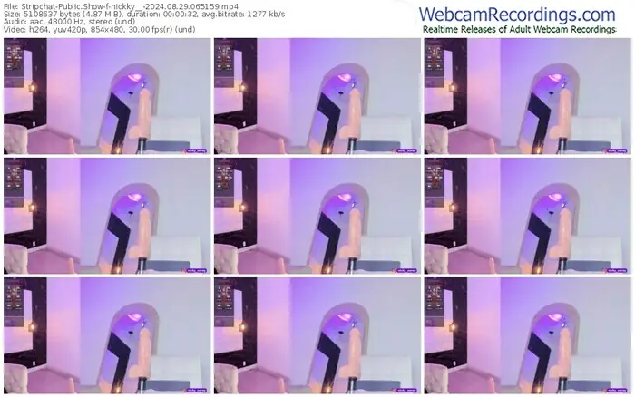 2024/08/29/stripchat-nickky__-06-51-59