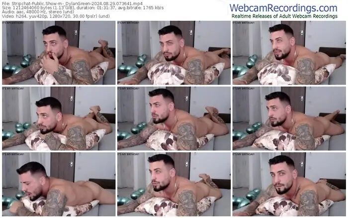 2024/08/29/stripchat-_dylangreen-07-36-41