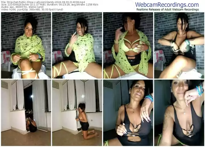 2024/08/30/stripchat-allyson22andy-21-40-38
