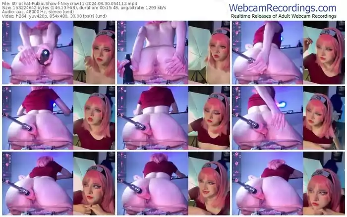 2024/08/30/stripchat-nixycrow11-05-41-12