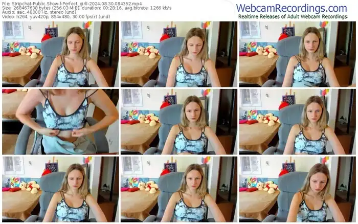 2024/08/30/stripchat-perfect_girll-08-43-52