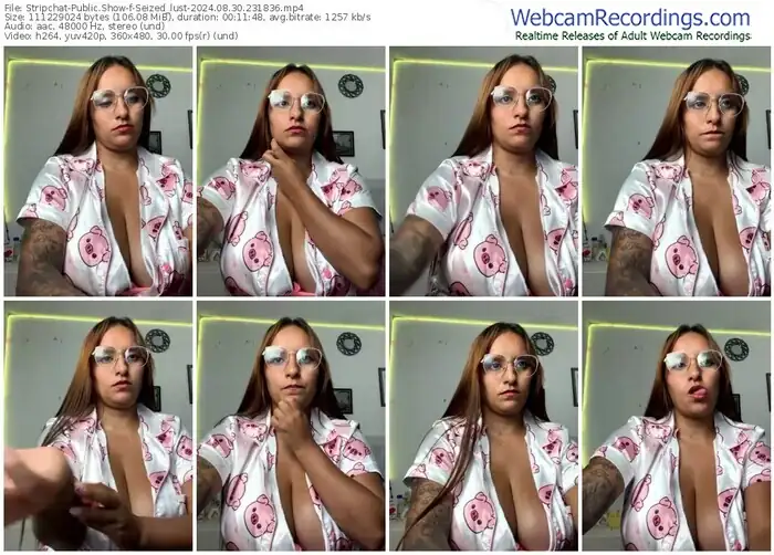 2024/08/30/stripchat-seized_lust-23-18-36