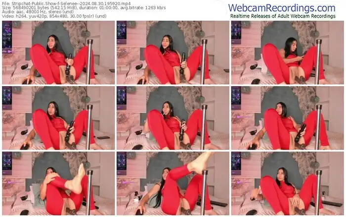 2024/08/30/stripchat-selenee--19-59-20