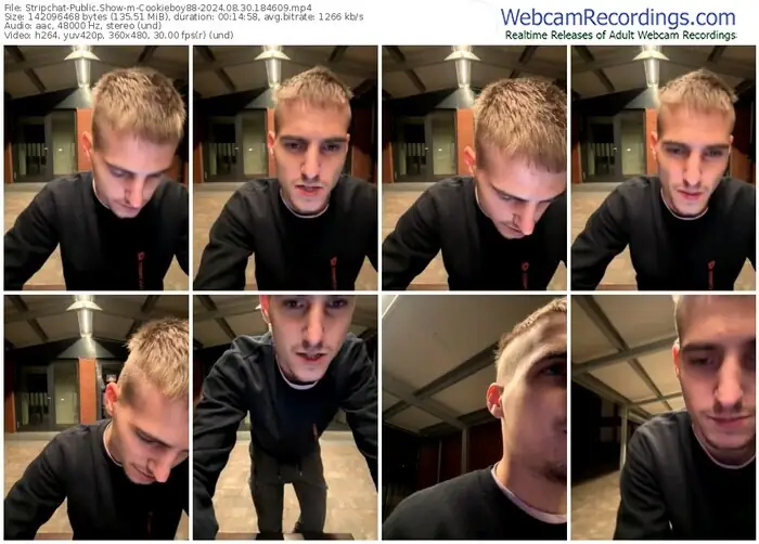 2024/08/30/stripchat-cookieboy88-18-46-09
