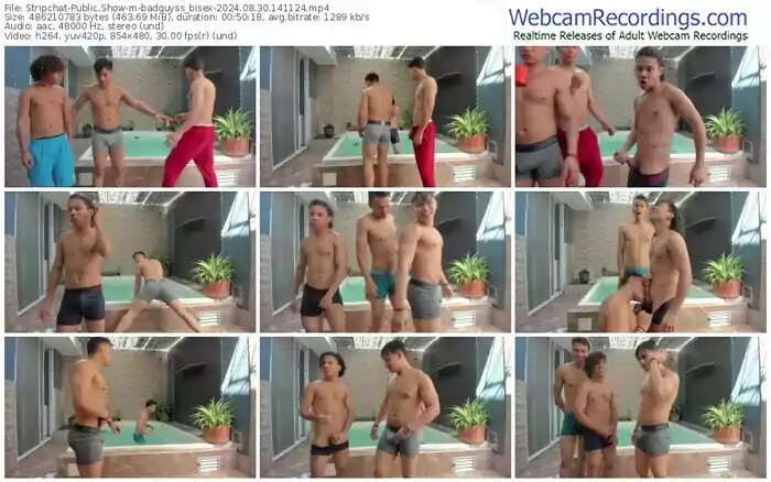 2024/08/30/stripchat-badguyss_bisex-14-11-24