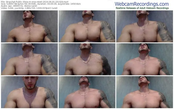 2024/08/30/stripchat-eros-steel-23-10-29