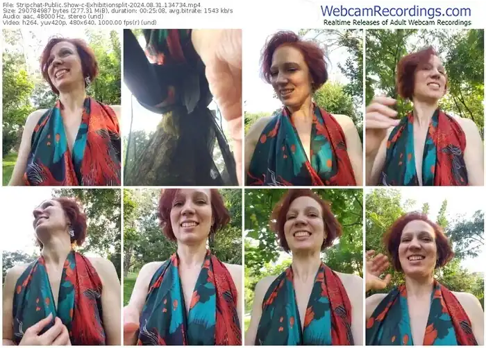 2024/08/31/stripchat-exhibitionsplit-13-47-34