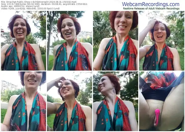 2024/08/31/stripchat-exhibitionsplit-15-03-32