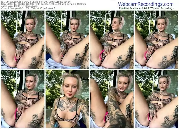 2024/08/31/stripchat-stella-kink-10-36-56