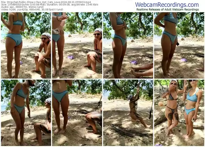 2024/08/31/stripchat-two_hot_cats_love-05-59-03