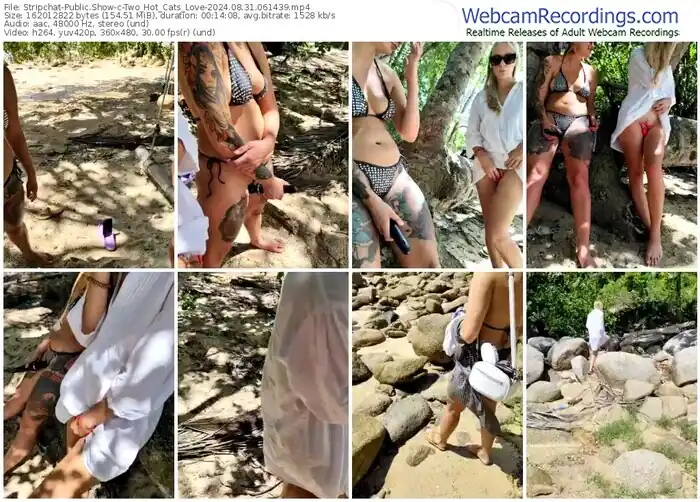 2024/08/31/stripchat-two_hot_cats_love-06-14-39