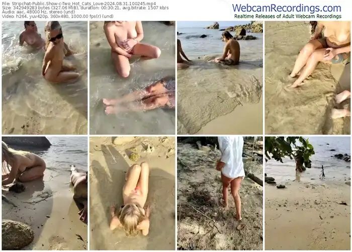 2024/08/31/stripchat-two_hot_cats_love-10-02-45