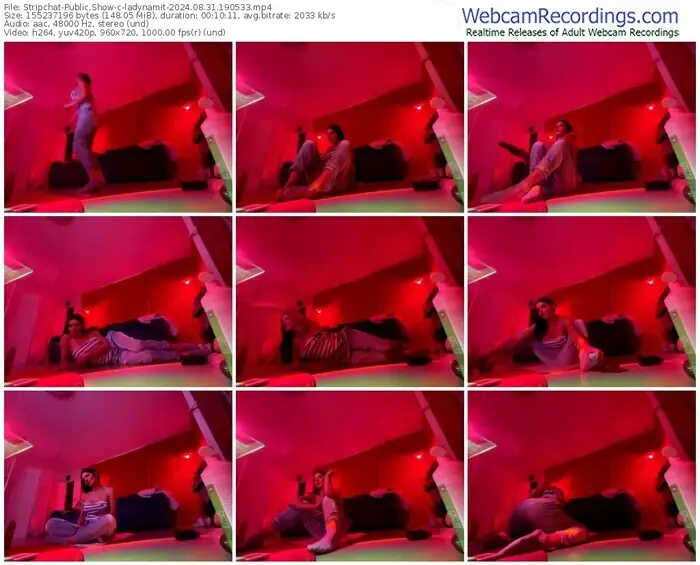 2024/08/31/stripchat-ladynamit-19-05-33