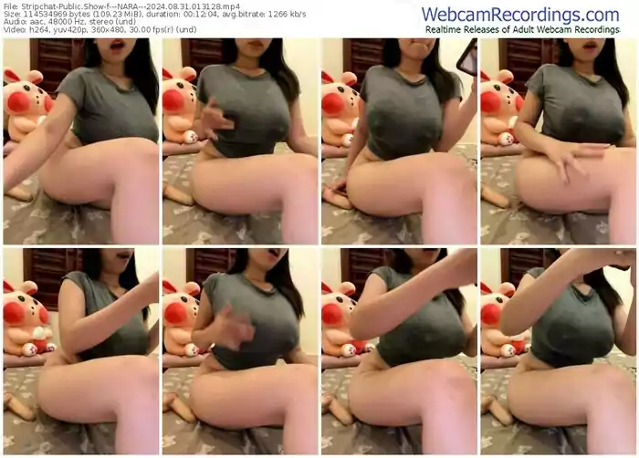2024/08/31/stripchat---nara---01-31-28
