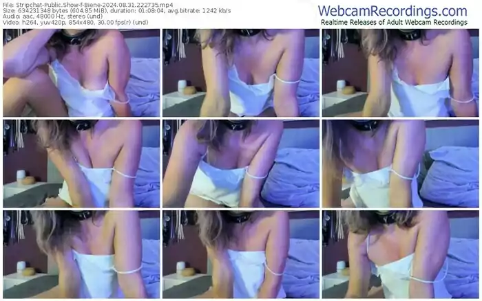 2024/08/31/stripchat-biene-22-27-35