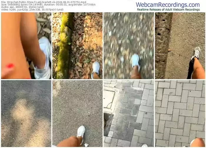 2024/08/31/stripchat-ladyscarlett-xk-07-07-51