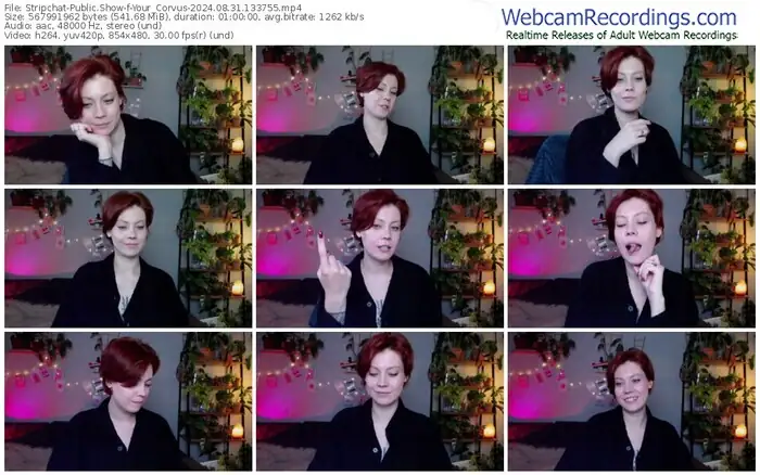 2024/08/31/stripchat-your_corvus-13-37-55