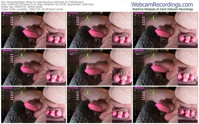 2024/08/31/stripchat-controlmytoys-15-05-48