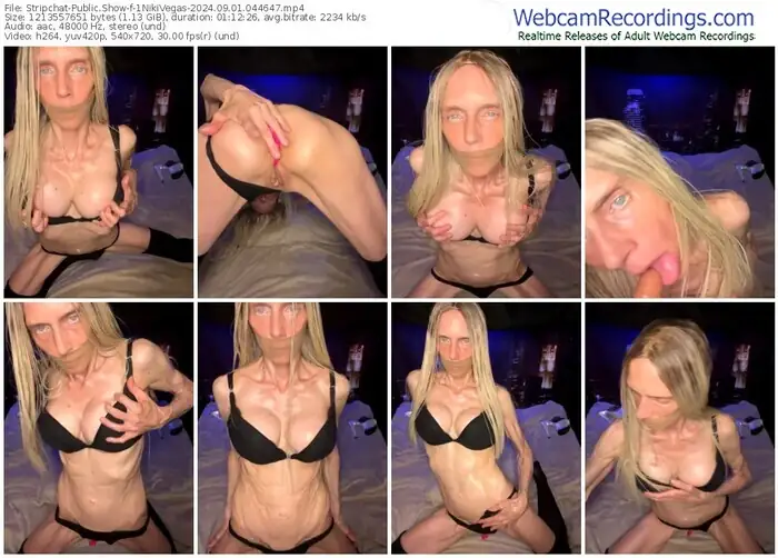 2024/09/01/stripchat-1nikivegas-04-46-47