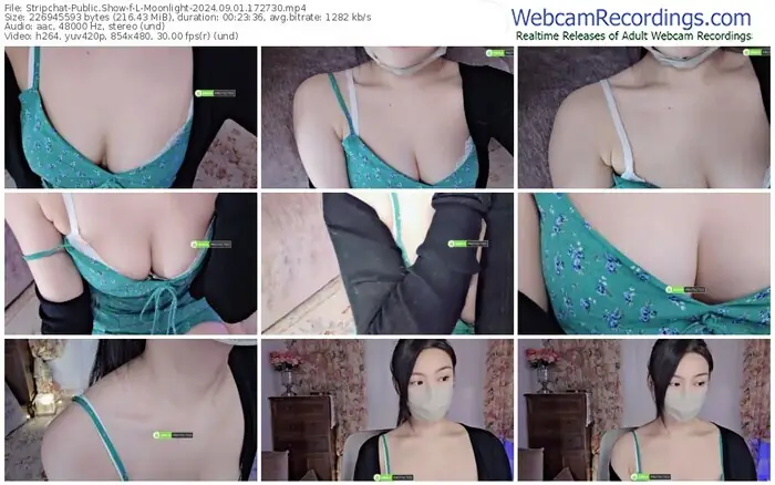 2024/09/01/stripchat-l-moonlight-17-27-30