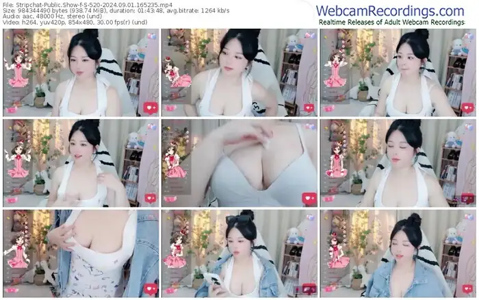 2024/09/01/stripchat-s-520-16-52-35