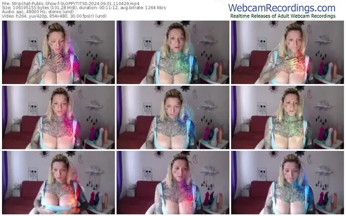 2024/09/01/stripchat-sloppytitss-11-04-29