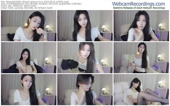2024/09/01/stripchat-cena-ccccccc-14-45-31