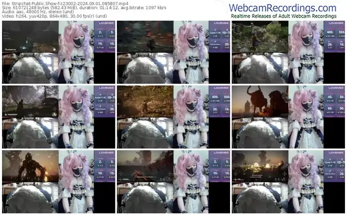 2024/09/01/stripchat-z23002-08-58-07