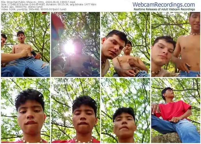 2024/09/01/stripchat-_ottis_-19-00-17