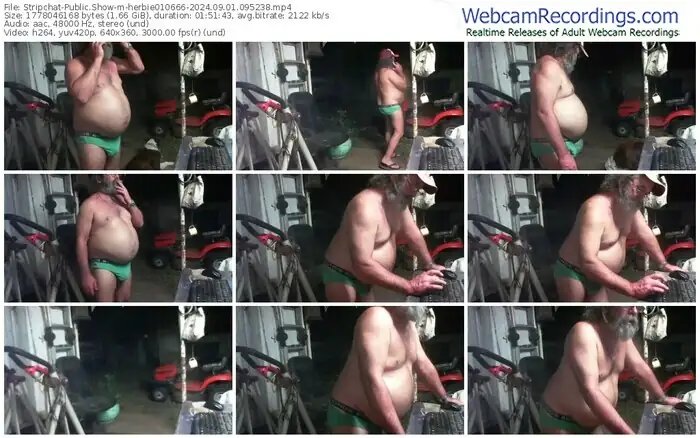 2024/09/01/stripchat-herbie010666-09-52-38