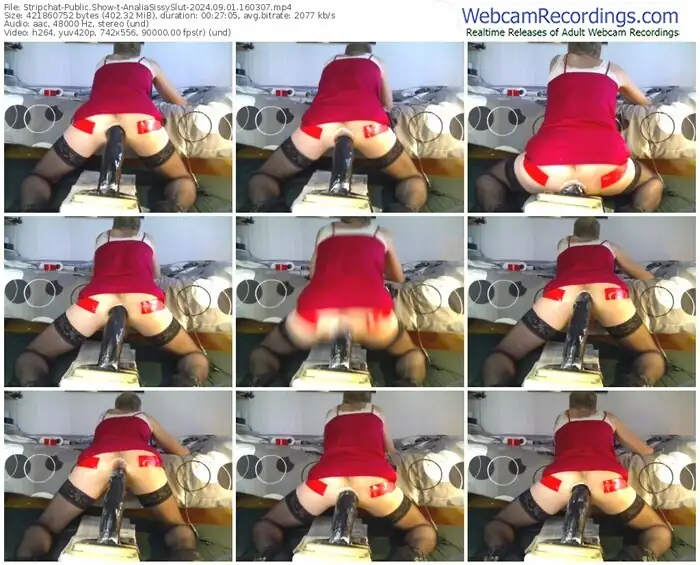 2024/09/01/stripchat-analiasissyslut-16-03-07