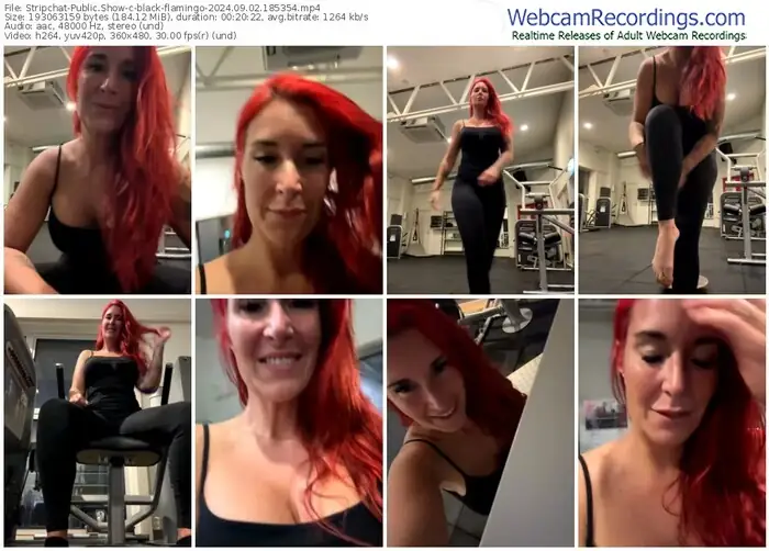 2024/09/02/stripchat-black-flamingo-18-53-54