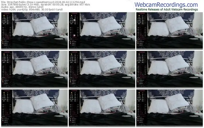 2024/09/02/stripchat-sweetberryyy0-11-12-56