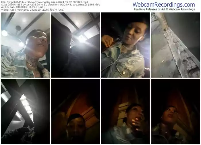 2024/09/02/stripchat-crownednyaries-00-38-43