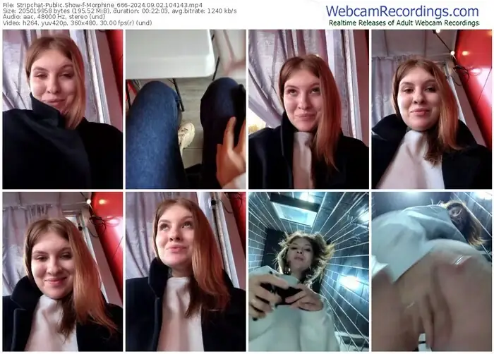 2024/09/02/stripchat-morphine_666-10-41-43