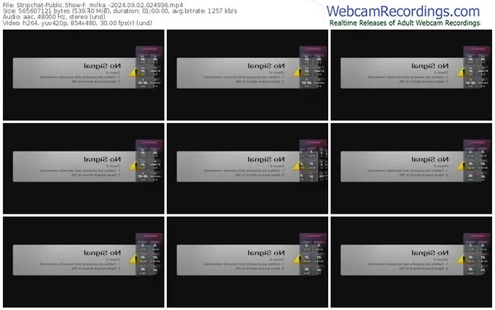 2024/09/02/stripchat-_milka_-02-49-36