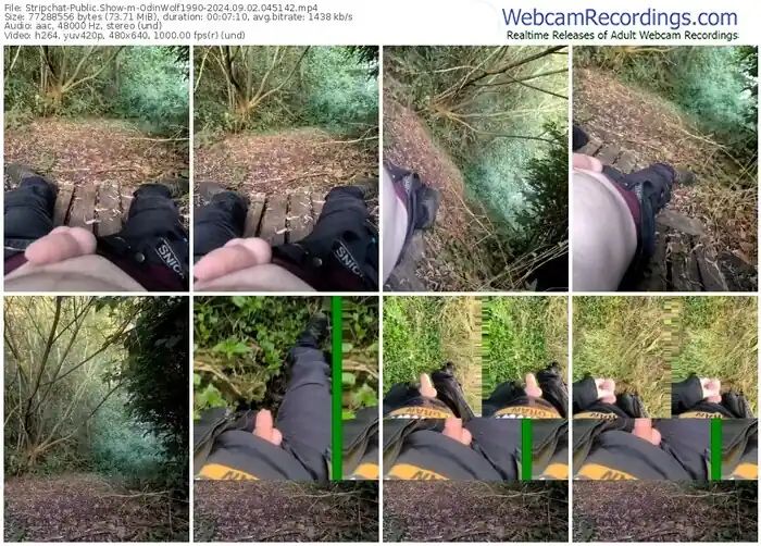 2024/09/02/stripchat-odinwolf1990-04-51-42