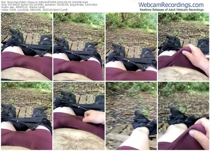 2024/09/02/stripchat-odinwolf1990-10-43-08