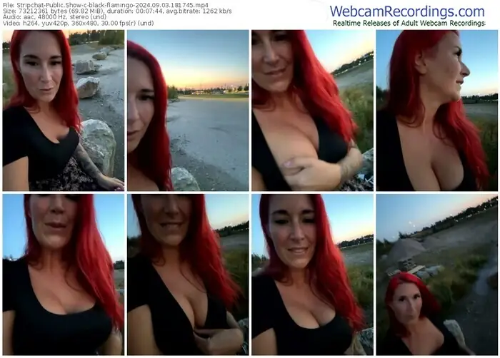 2024/09/03/stripchat-black-flamingo-18-17-45