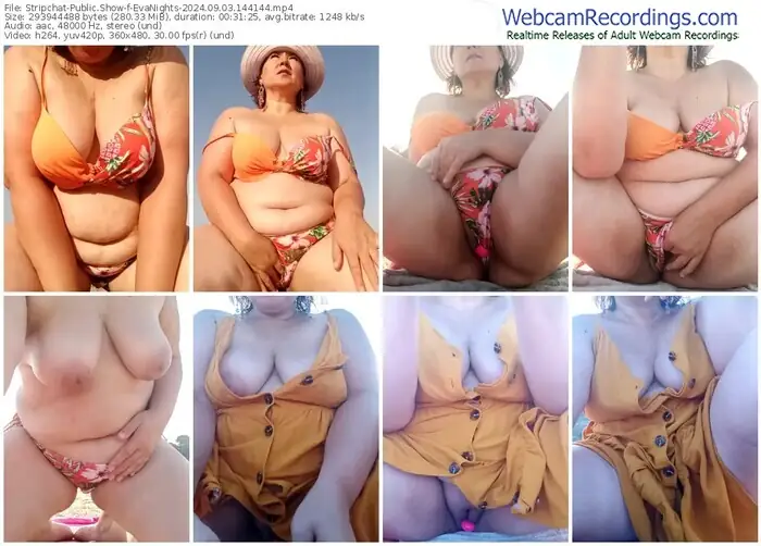 2024/09/03/stripchat-evanights-14-41-44